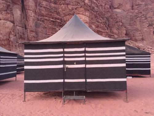 Wadi Rum Nature Guide