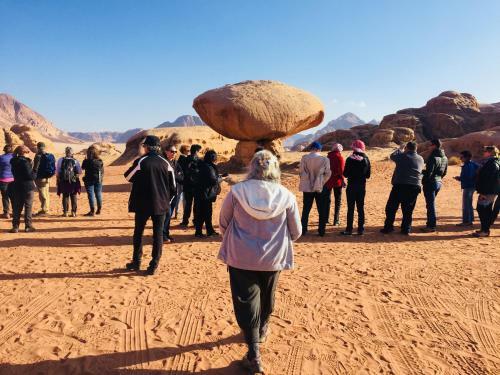 Wadi Rum Nature Guide