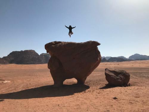 Wadi Rum Nature Guide
