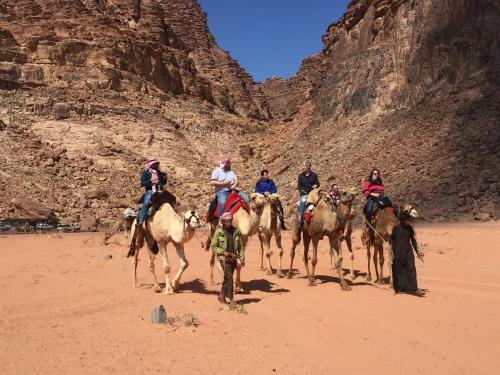 Wadi Rum Nature Guide