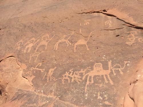 Wadi Rum Nature Guide