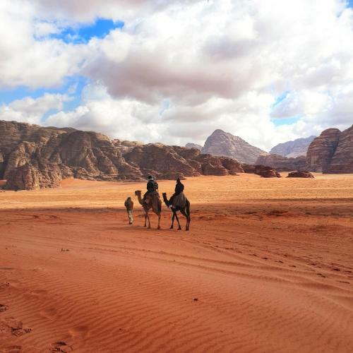 Desert Mars Camp & Tours