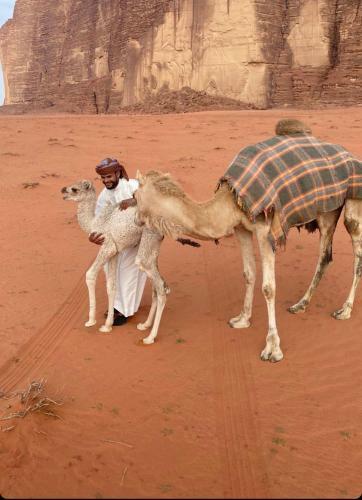 Wadi Rum Pyramid Camp