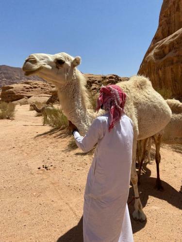Wadi Rum Pyramid Camp
