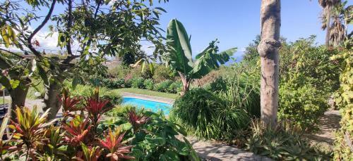 Apartamento Casas Ricardo