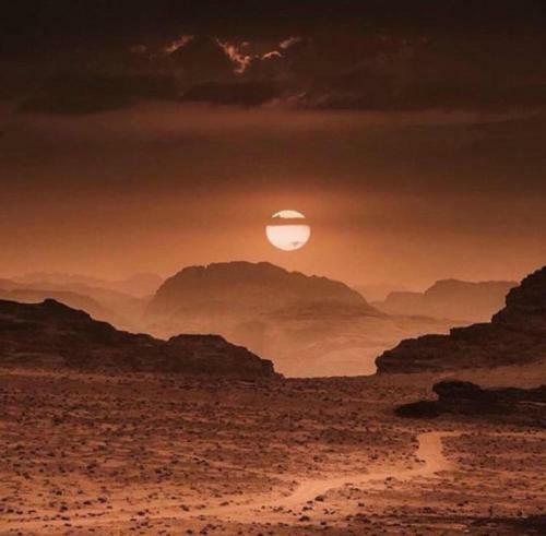 Wadi Rum Local Camp