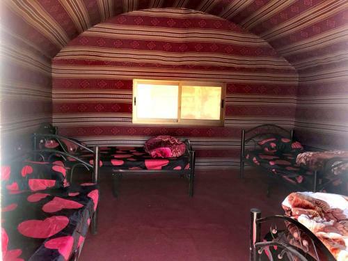 Wadi Rum Local Camp