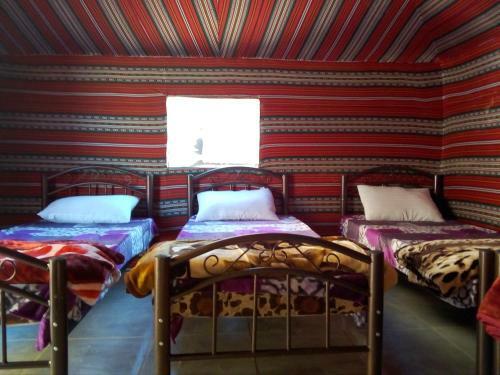 Bed & Breakfast Moon City Camp