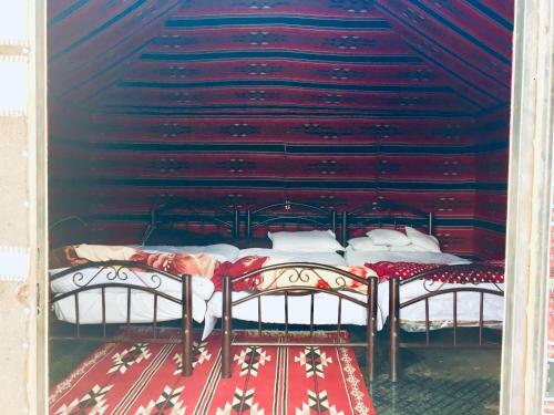 Red Desert Camp