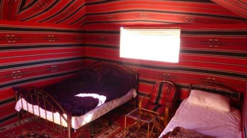 Wadi Rum Moon Camp