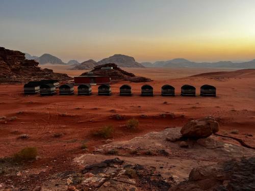 Wadi Rum Desert Adventures