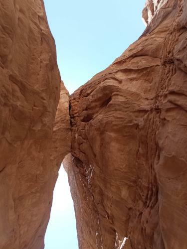Wadi Rum Dune Rocks Camp