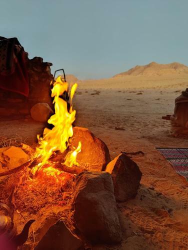 Albergue Wadi Rum Bedouin Campsite & Tours