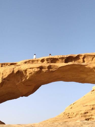 Wadi Rum Enchanting Nature Camp