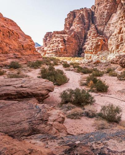 Quiet Nights Desert