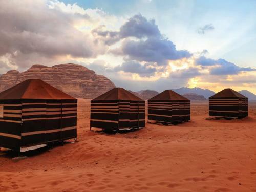 Wadi Rum Dew