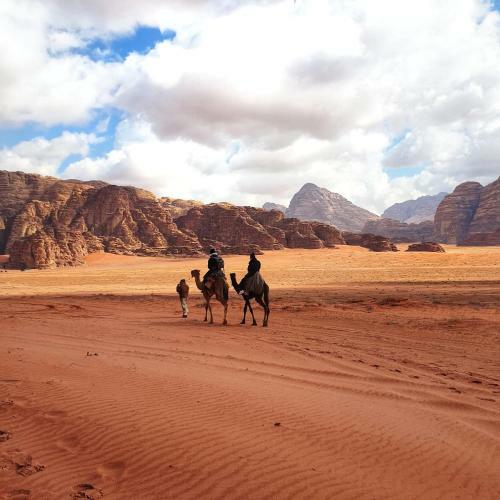 Wadi Rum Dew