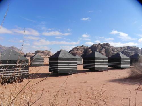 Wadi Rum Dew
