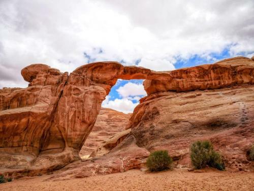 Wadi Rum Dew
