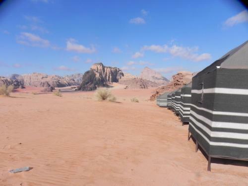 Wadi Rum Dew