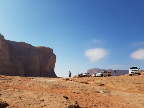 Wadi Rum Dew