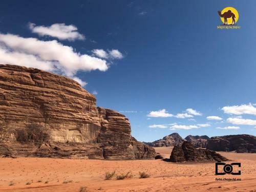 Wadi Rum Dew