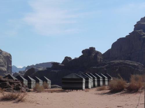 Wadi Rum Dew
