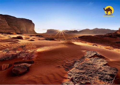 Wadi Rum Dew