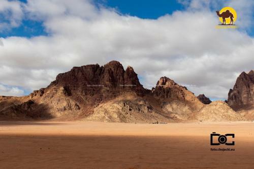 Wadi Rum Dew