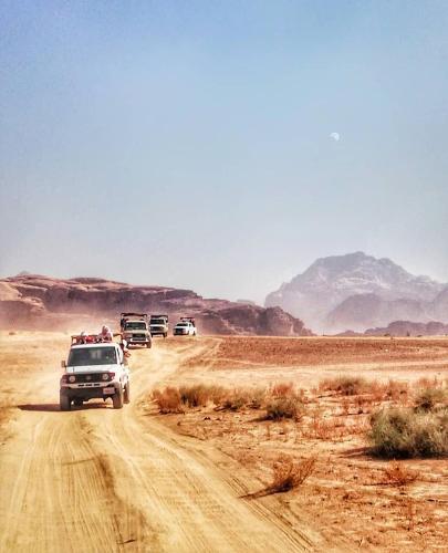 Bed & Breakfast Desert Nights Camp