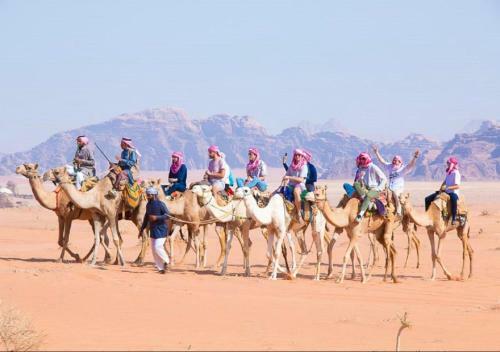 Desert Bedouin Camp