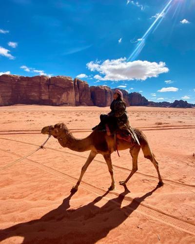 Desert Stars Camp Wadi Rum