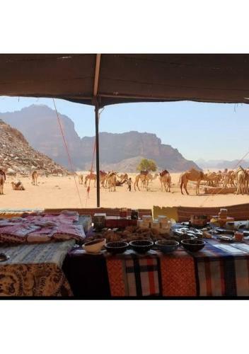 Desert Stars Camp Wadi Rum