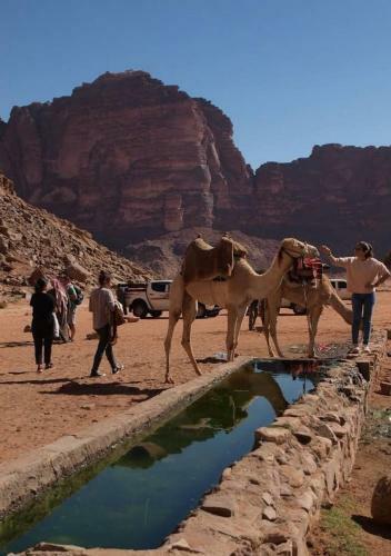 Desert Stars Camp Wadi Rum