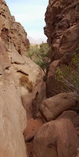 Wadi Rum Desert Experience