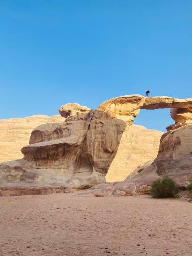 Bed & Breakfast Wadi Rum Galaxy Camp
