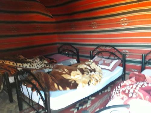 Hotel Wadirum Mobile Camp
