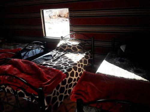 Hotel Wadirum Mobile Camp