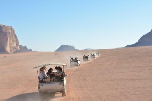 Art Camp Wadi Rum