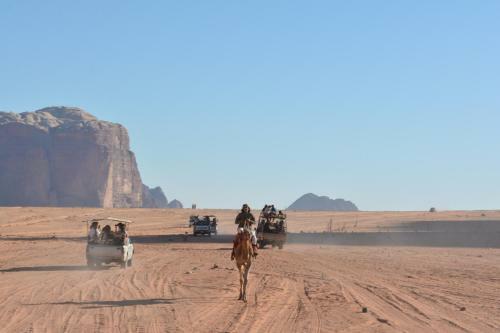 Art Camp Wadi Rum