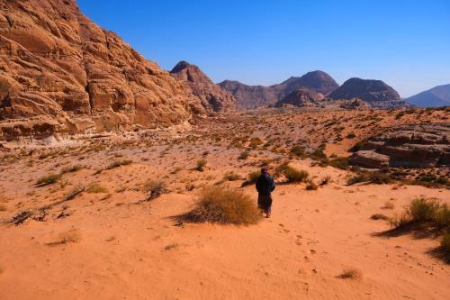 Bed & Breakfast Moon Wadi Rum Camp