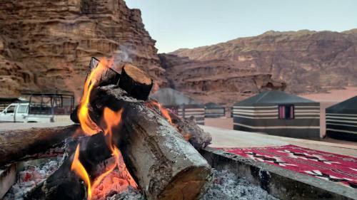 Night Under The Stars - Bedouin Camp