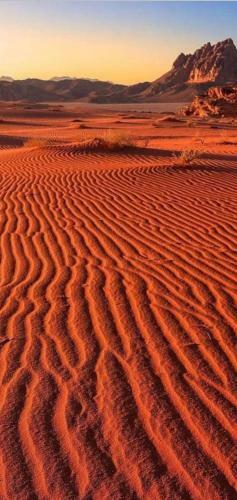 Apartamento Sunlight Wadi Rum Camp