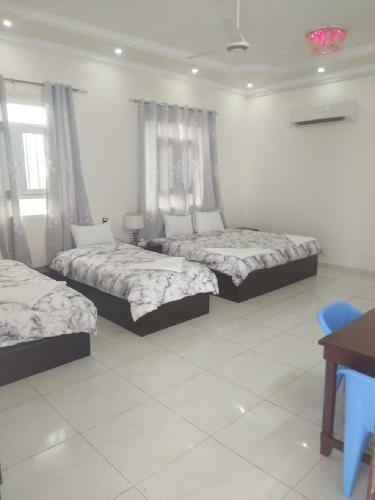 Hostal Turtle Guest House