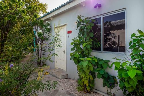 Hotel Bonaire Luxury Suites By Vrhost