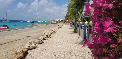 Bonaire Seaside Apartments