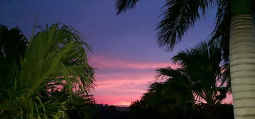 Apartamento Kas Dolphin Sabal Palm Bonaire