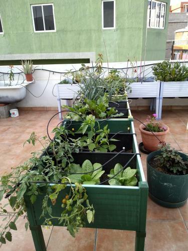 Apartamento �tico Confital