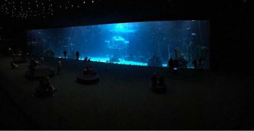 Apartamento Las Canteras Aquarium