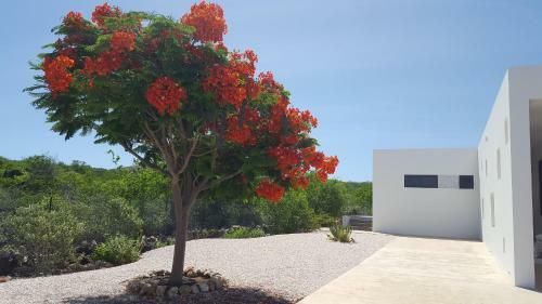 Apartamento Yamba From Bonaire